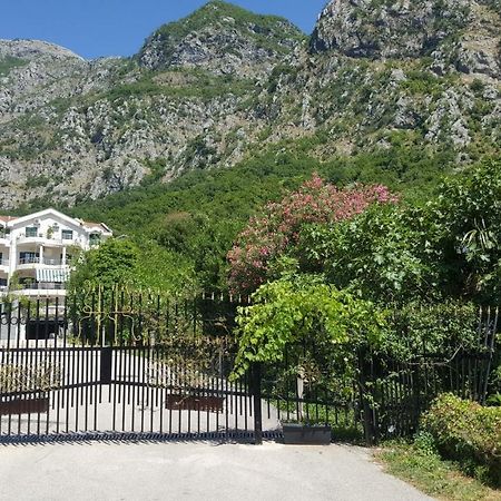 Roman Gardens Studio Apartment Risan Zewnętrze zdjęcie
