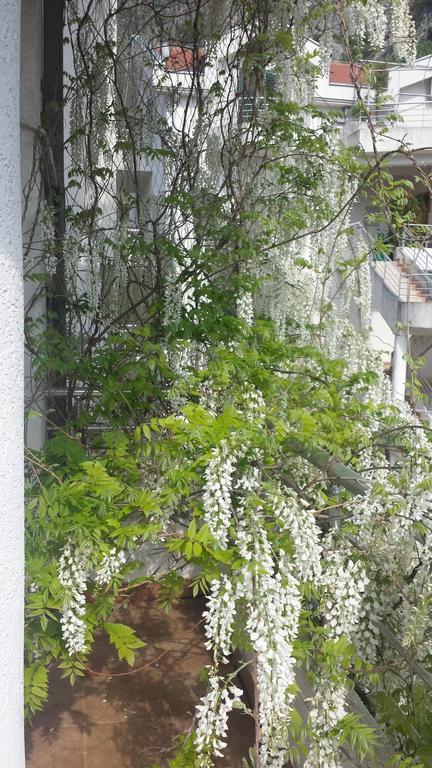 Roman Gardens Studio Apartment Risan Zewnętrze zdjęcie