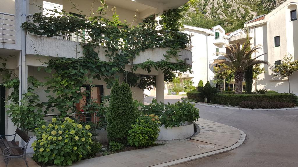 Roman Gardens Studio Apartment Risan Zewnętrze zdjęcie